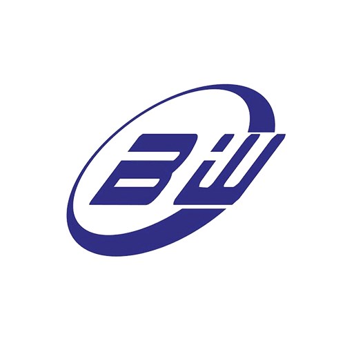 深圳市盛佰威科技有限公司logo