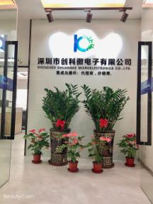 点击查看大图 深圳市创科微电子有限公司实景