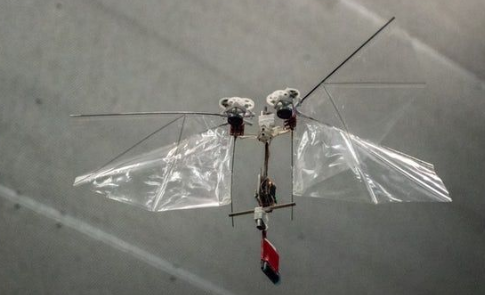荷兰大学研制出DelFly Nimble，一款可自治的飞行机器人