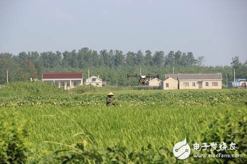杂交水稻制种进入关键阶段，植保无人机助力进行空中喷洒赤霉素
