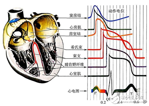 智能手环测心率到底靠不靠谱？智能手环测心率的原理