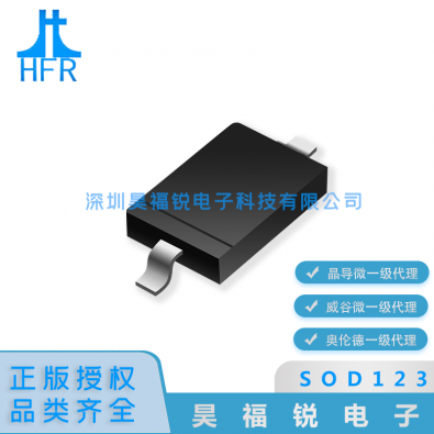 BAV102W
