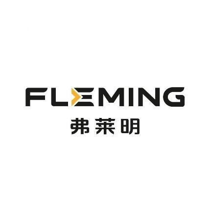 广东弗莱明半导体科技有限公司logo