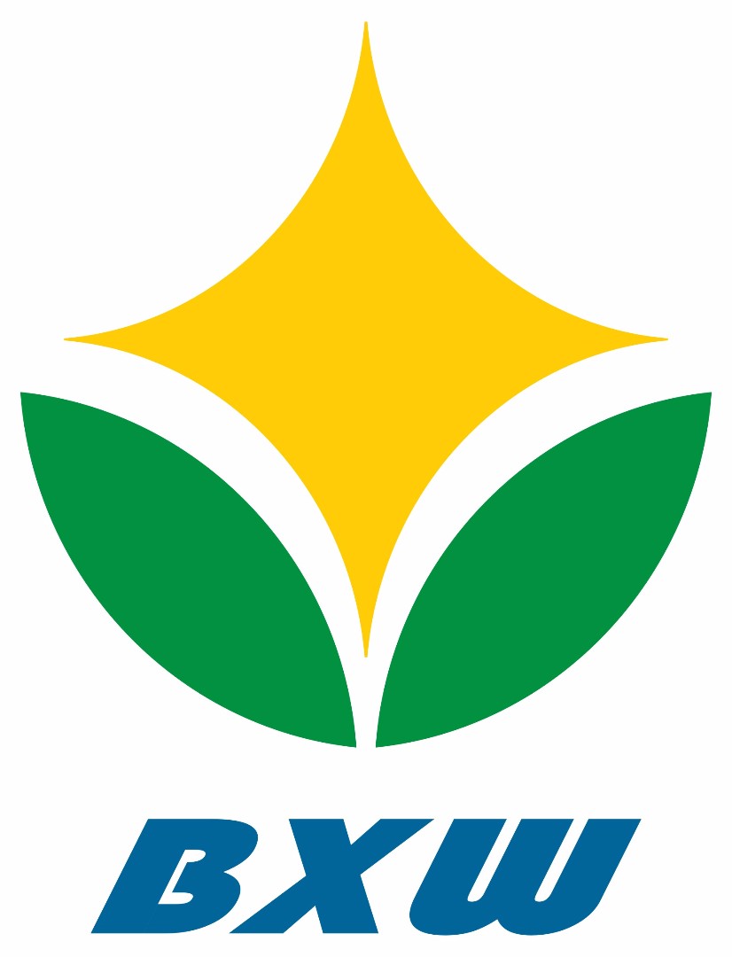 深圳市宝星微科技有限公司logo