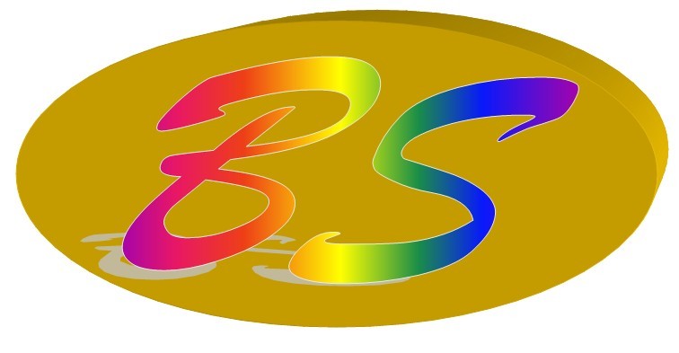 深圳市炳盛腾电子有限公司logo