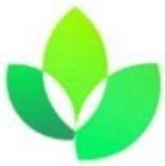 深圳市顺叶电子有限公司logo
