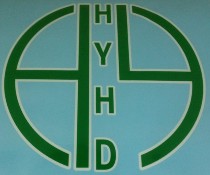 深圳市福田区辉业洪达电子经营部logo