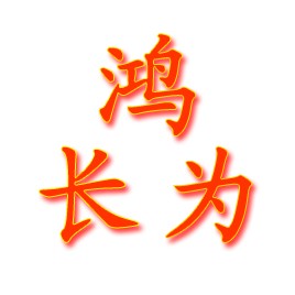 深圳市鸿长为电子有限公司logo