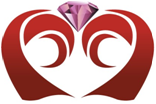 深圳市元恩微科技开发有限公司logo