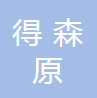 深圳市得森原电子有限公司logo
