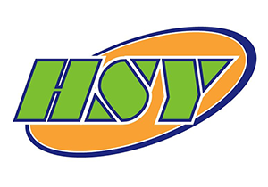 深圳华商洋电子有限公司logo