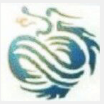 深圳市粤中龙电子有限公司logo