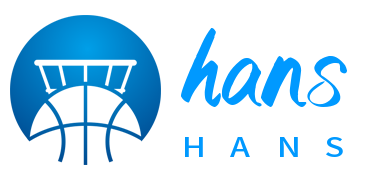 深圳市瀚思信息技术有限责任公司logo
