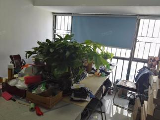 深圳市福田区新亚洲电子市场新创伟电子经营部实景