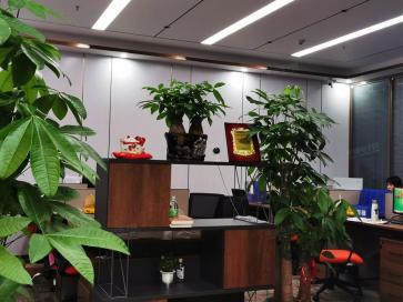 深圳市华力为电子有限公司实景
