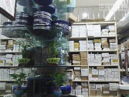 深圳市福田区新亚洲电子市场万盛电子经营部实景