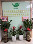 深圳市连锋电子科技有限公司实体店视频简介