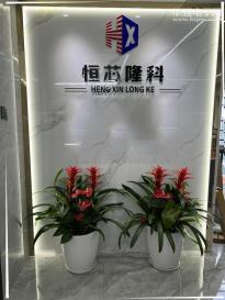 深圳市恒芯隆科科技有限公司实景
