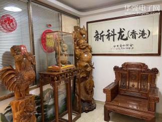 新科龍（香港）電子有限公司实景