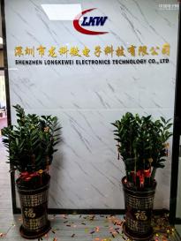 深圳市龙科微电子科技有限公司实景