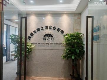 深圳市辉之阳实业有限公司实景