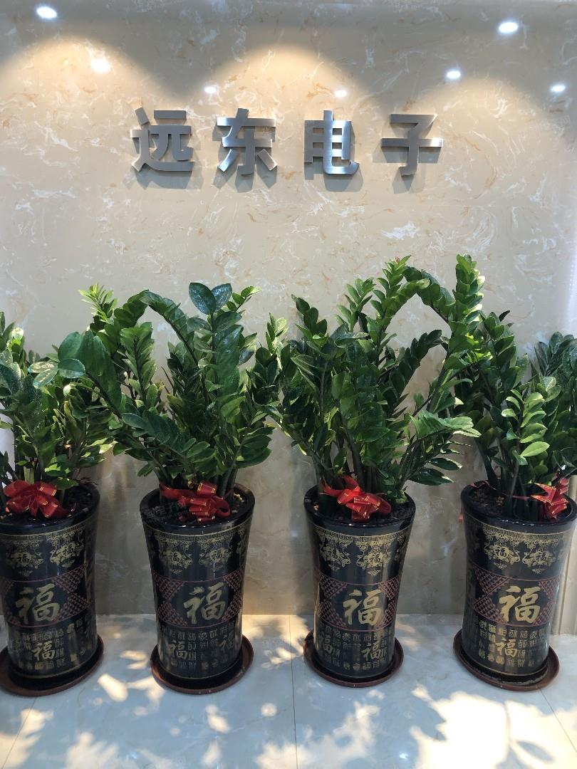 深圳市远东国际电子有限公司展示图2