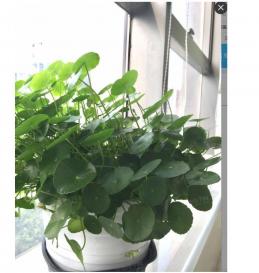 深圳市德飏机电有限公司实景