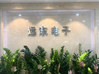 深圳市远东国际电子有限公司实景