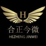 深圳市合正今微科技有限公司logo
