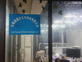 安徽扬漫芯电子科技有限公司实景