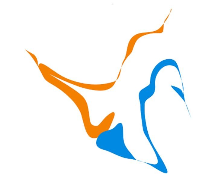 深圳市芯胜科技有限公司logo